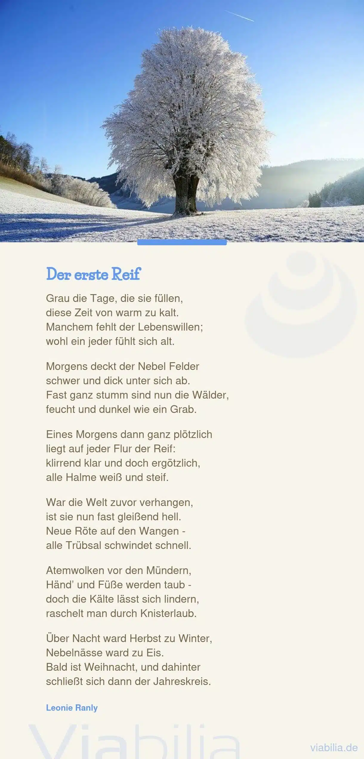 Adventsgedichte, hier modernes Gedicht: der erste Reif