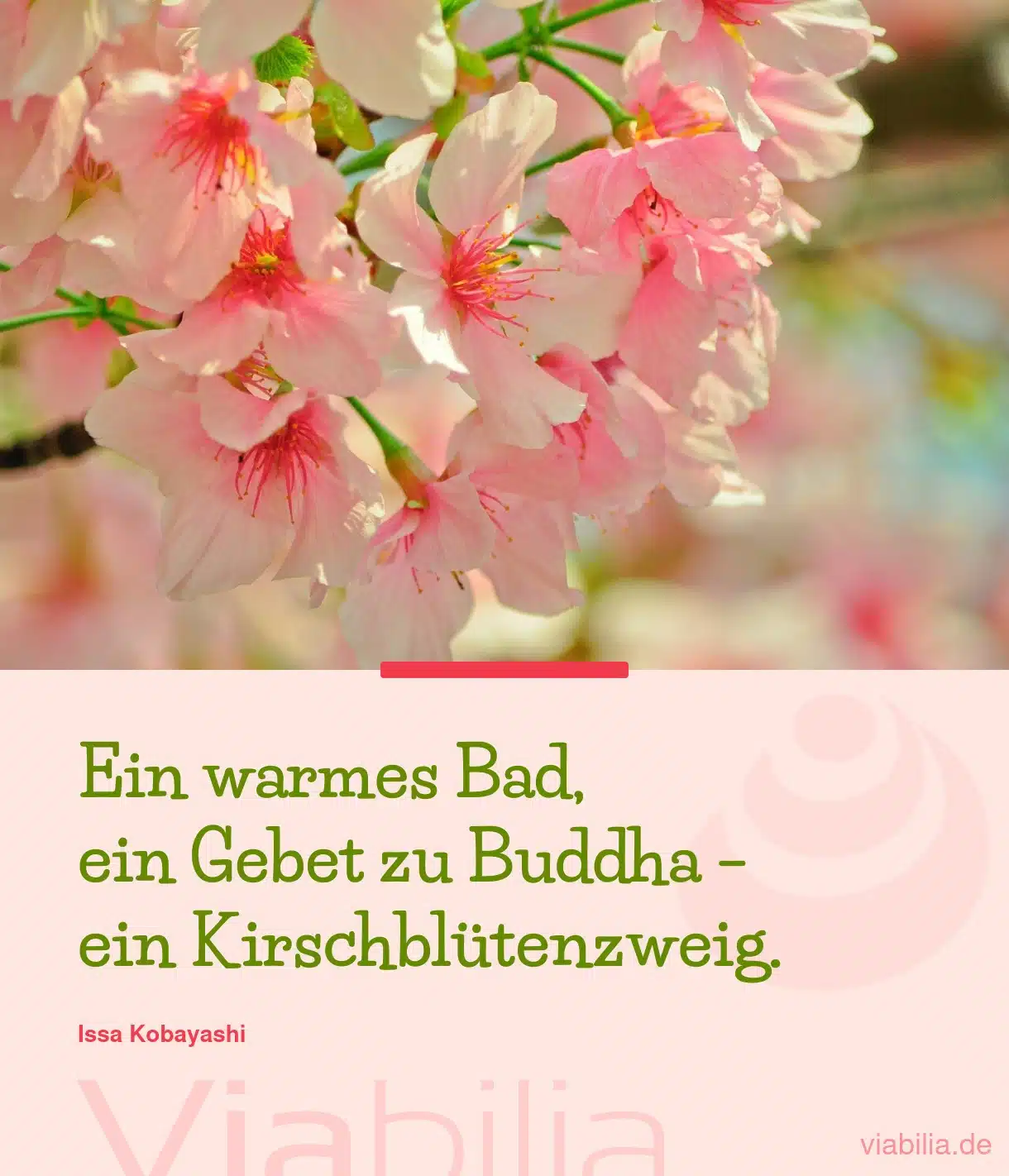 Buddhistischer Spruch: Gebet zu Buddha