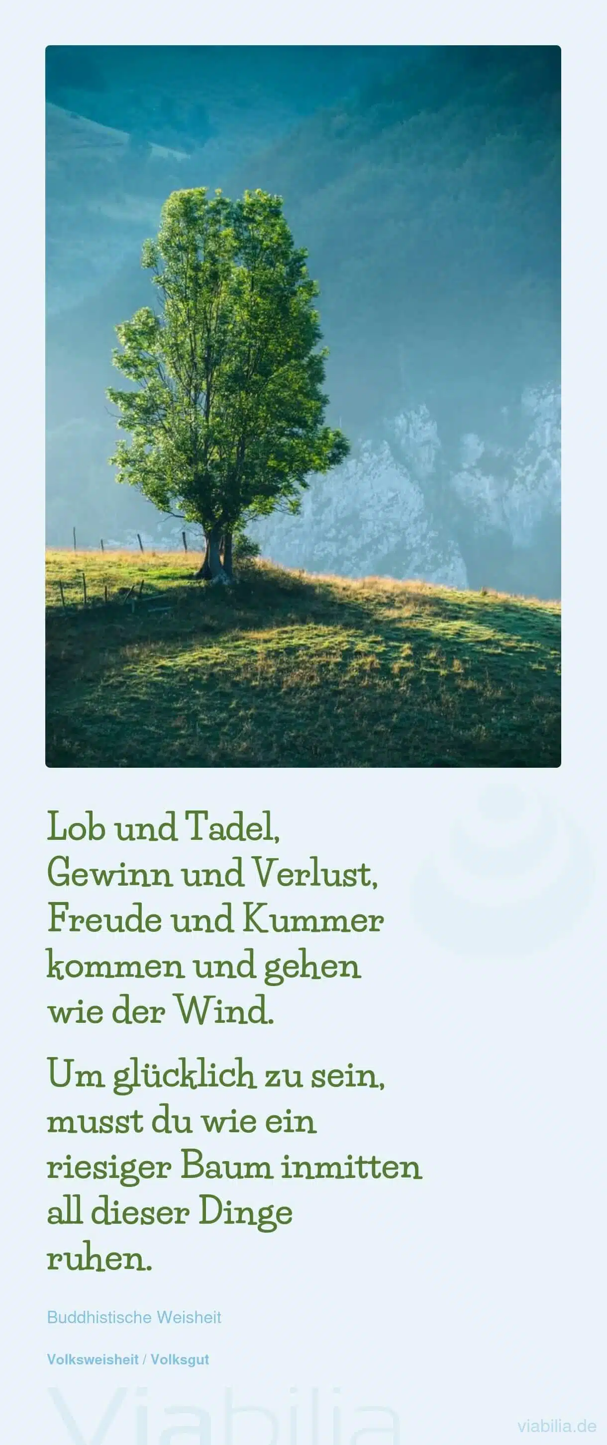 Buddhistischer Spruch: wie ein Baum in den Dingen ruhen