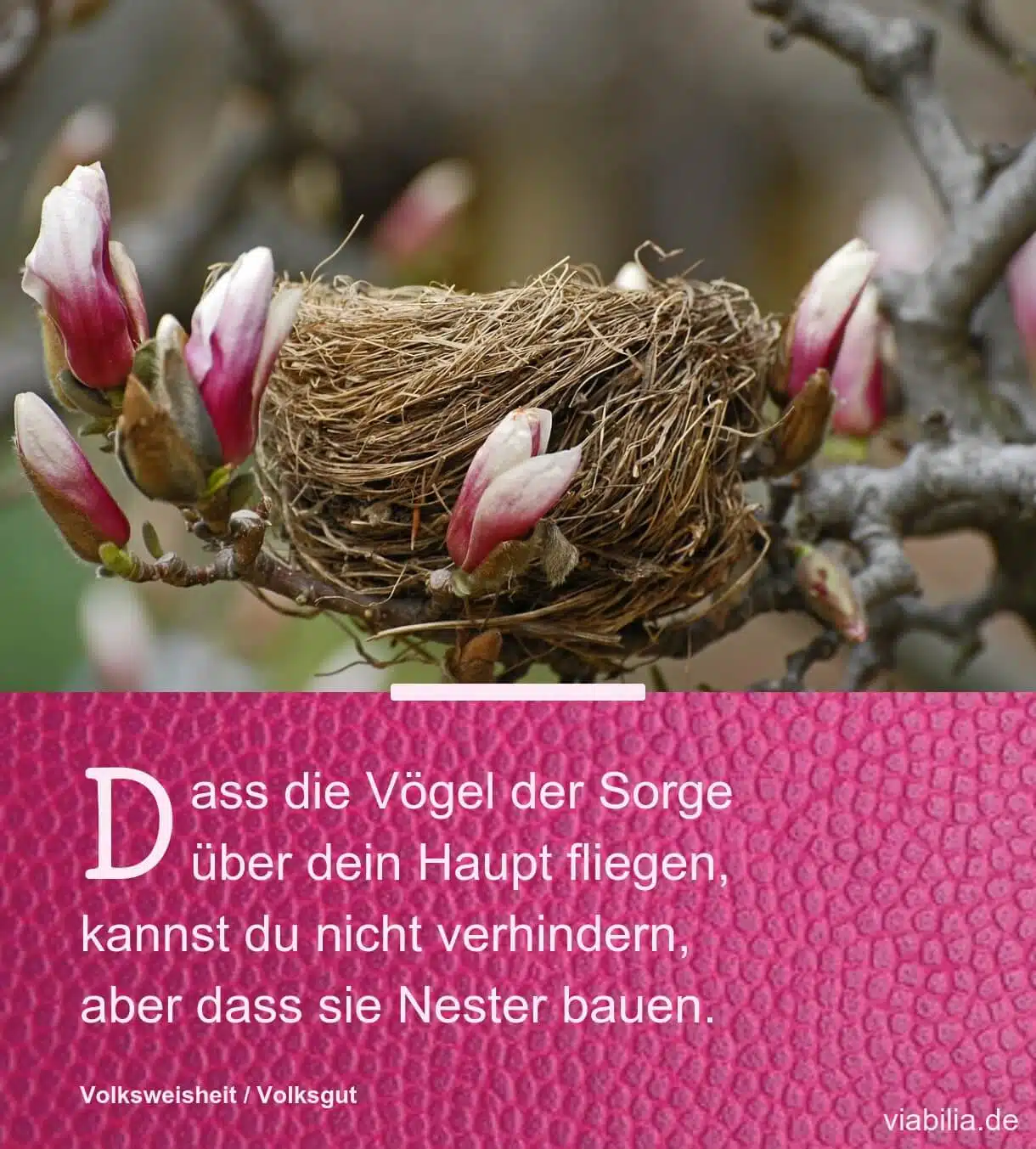 Chinesische Weisheit als Poesiealbum-Spruch: Vögel der Sorge