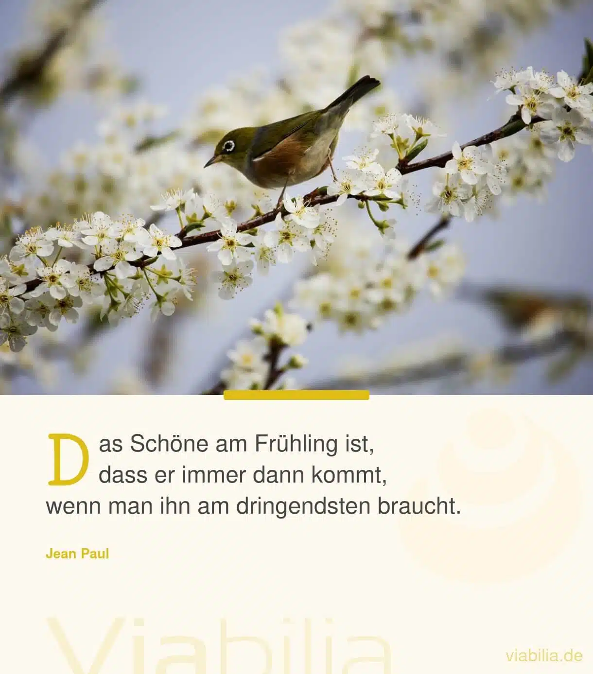 Spruch: das Schöne am Frühling