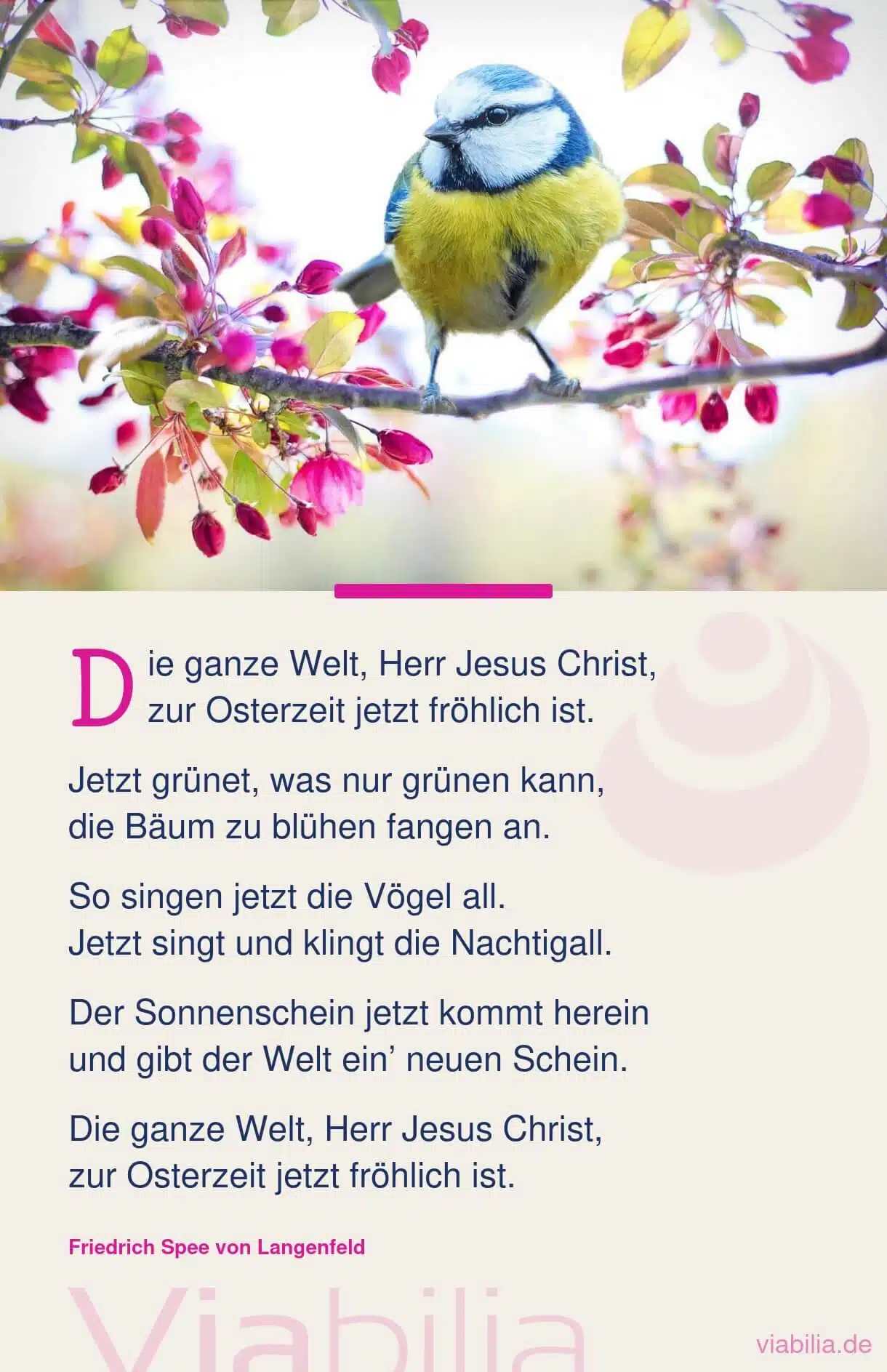 Fröhliches, christliches Ostergedicht