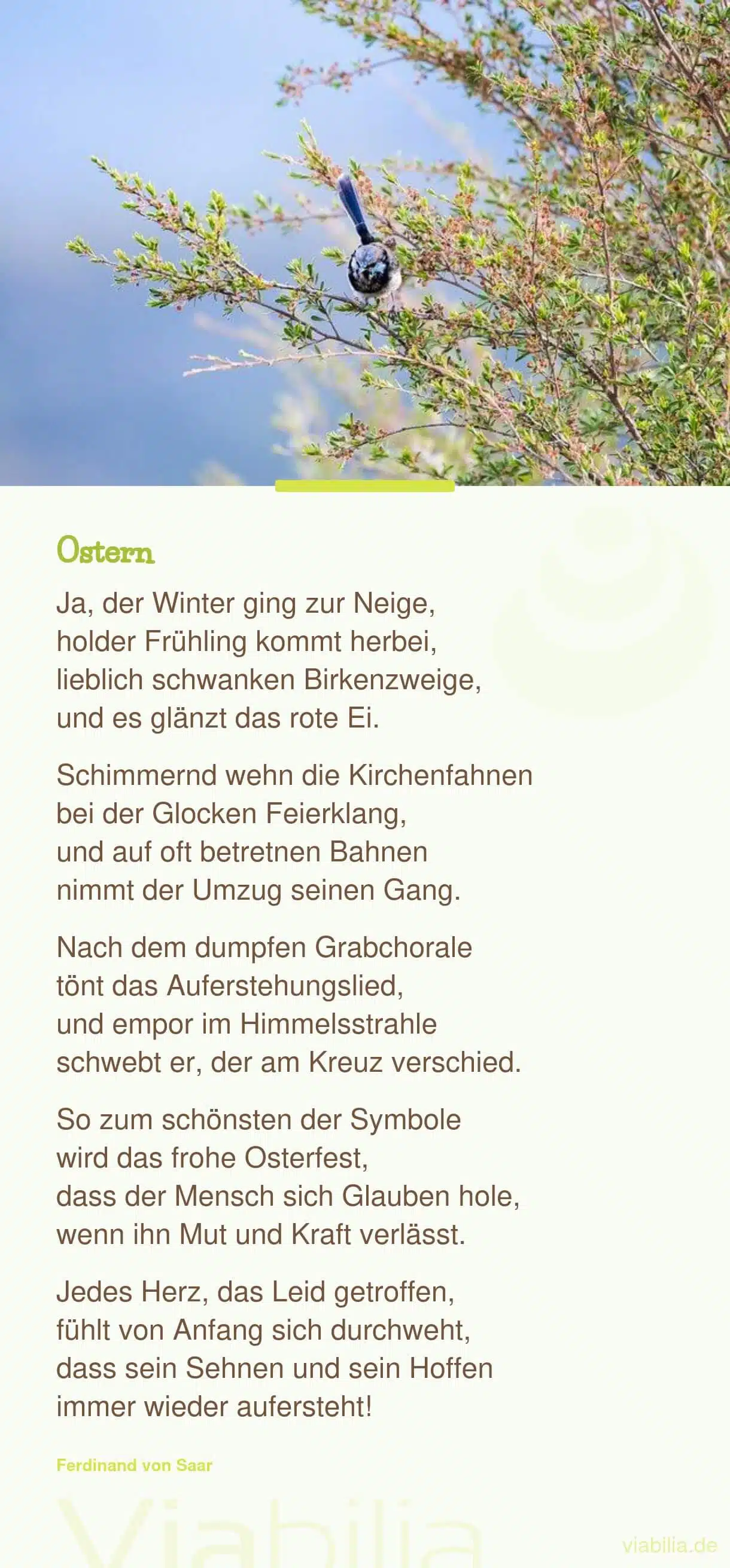 Frühlingsgedicht über Ostern und Frühling