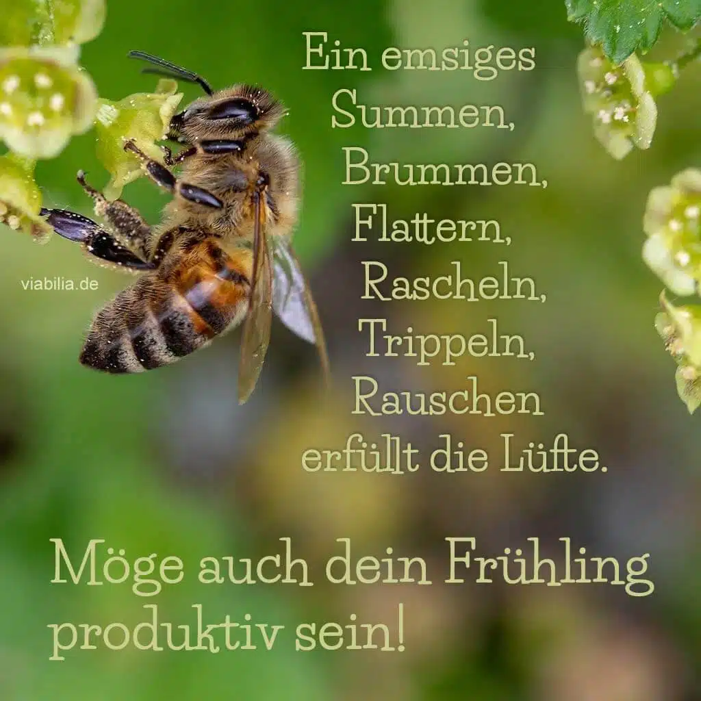 Frühlingswunsch nach einem produktiven Frühling