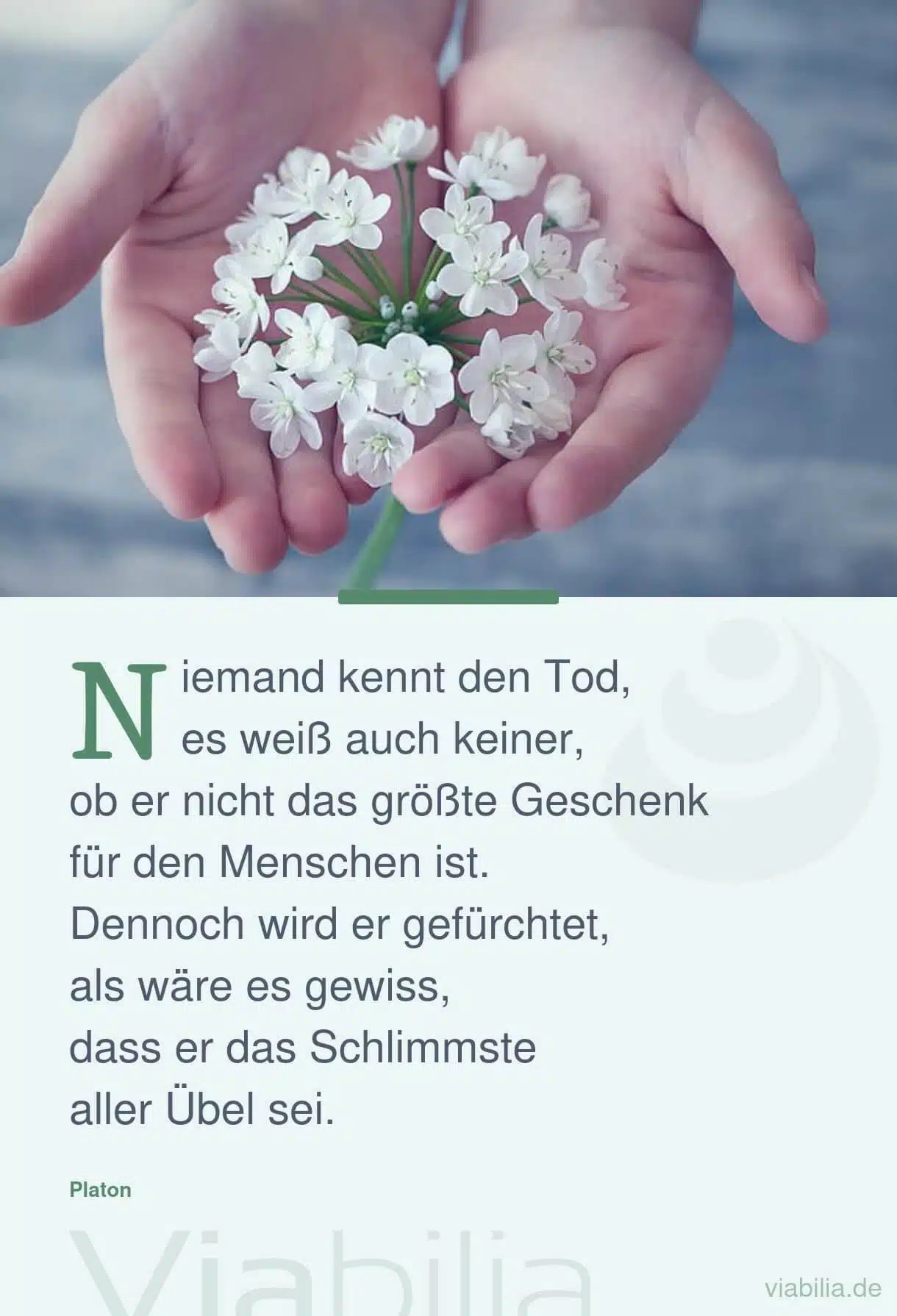 Spruch bzw. Gedanken über den Tod