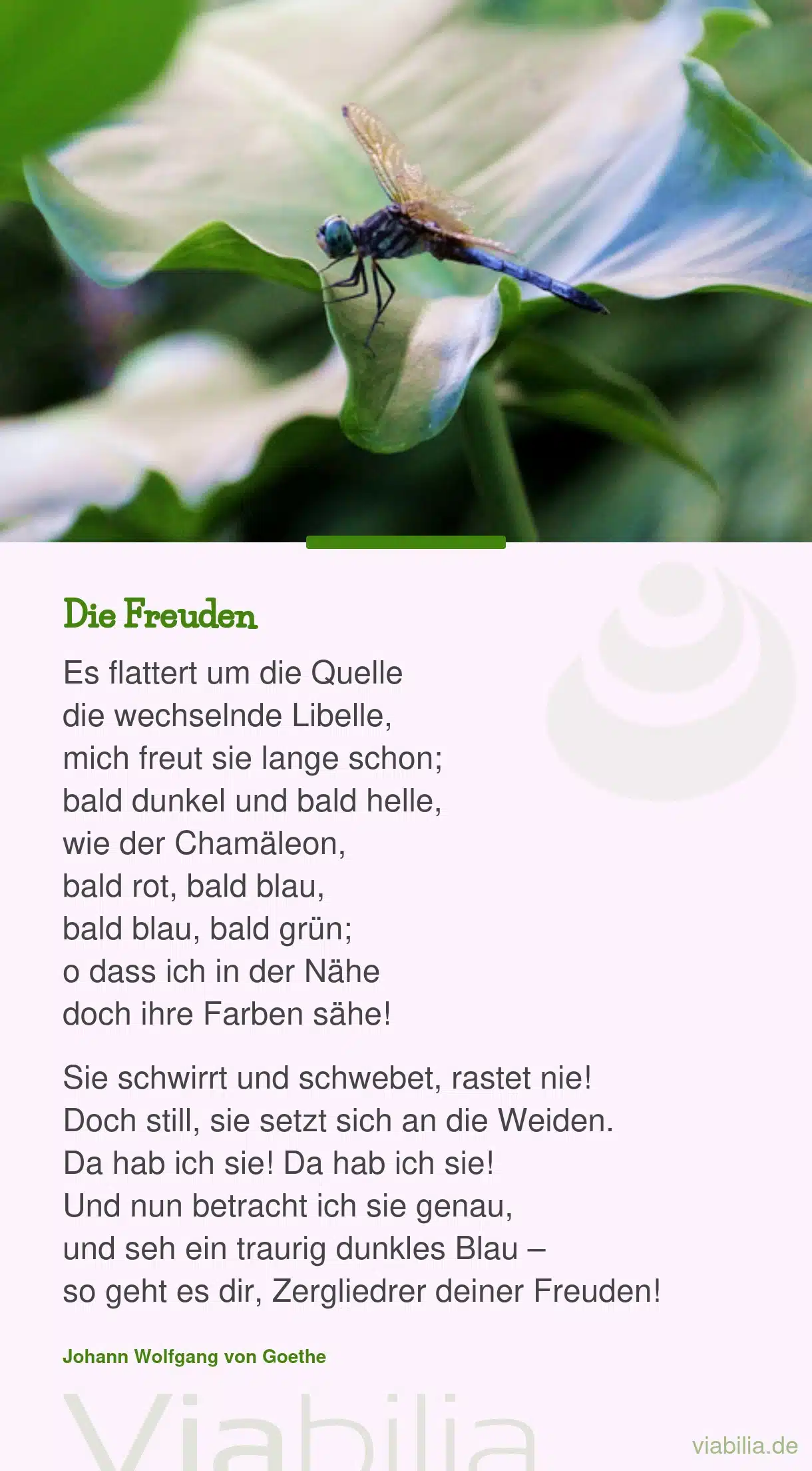 Gedicht über die Freuden