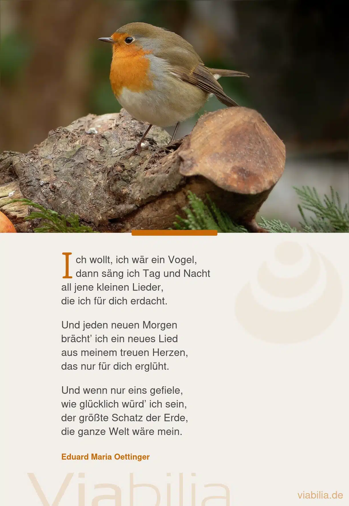 Gedicht: ich wollt, ich wär ein Vogel