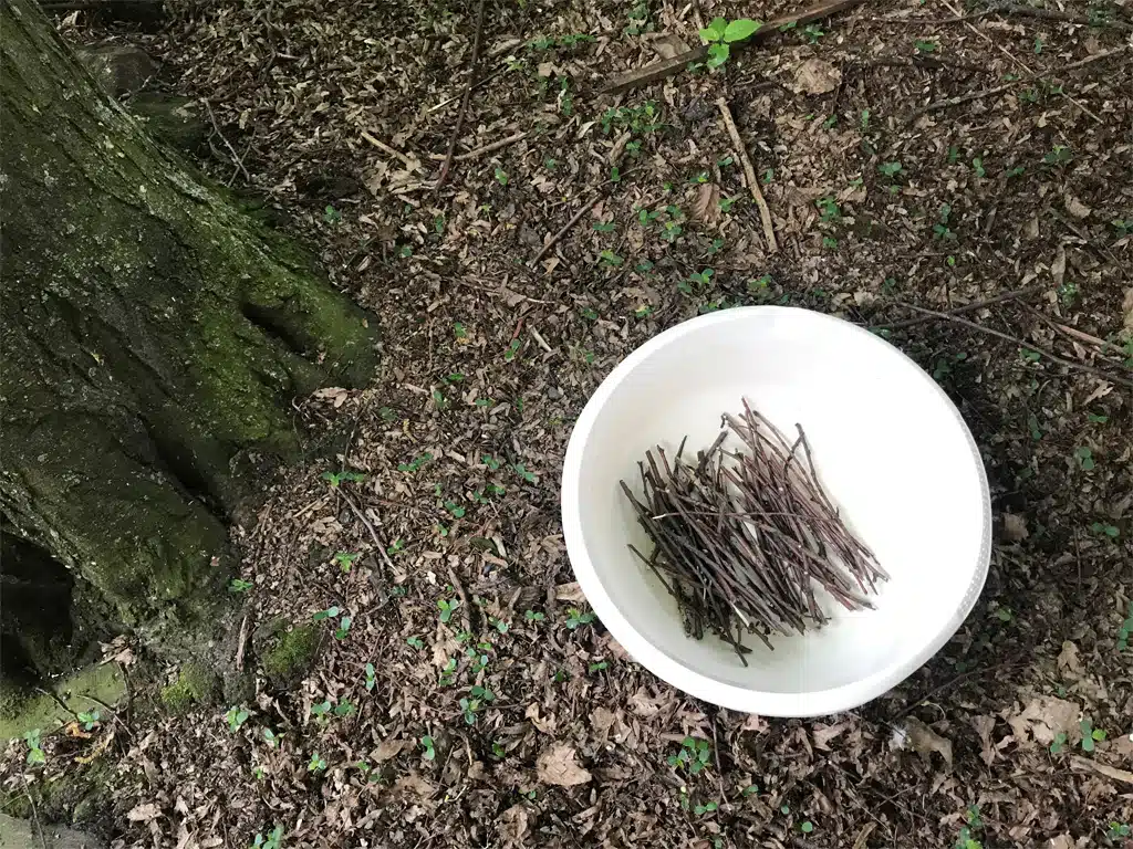 Gute Nacht Geschichte: kleine Holzstöcken sammeln