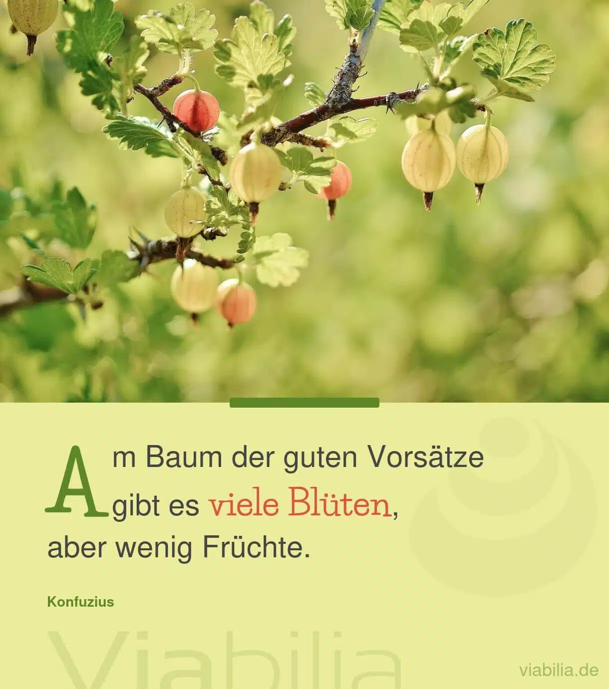 Am Baum der guten Vorsätze