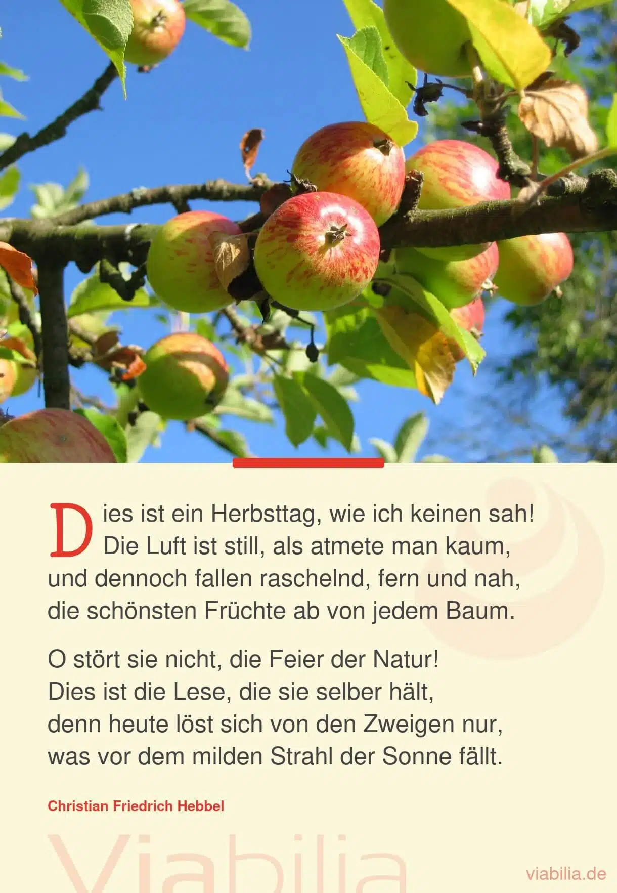 Herbstgedicht über einen schönen Herbsttag