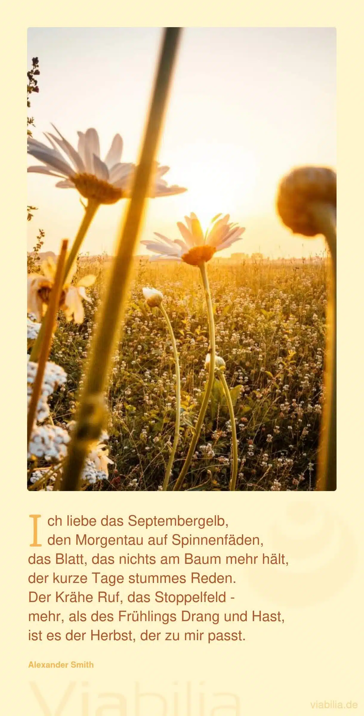 Herbstgedicht: Ich liebe das Septembergelb