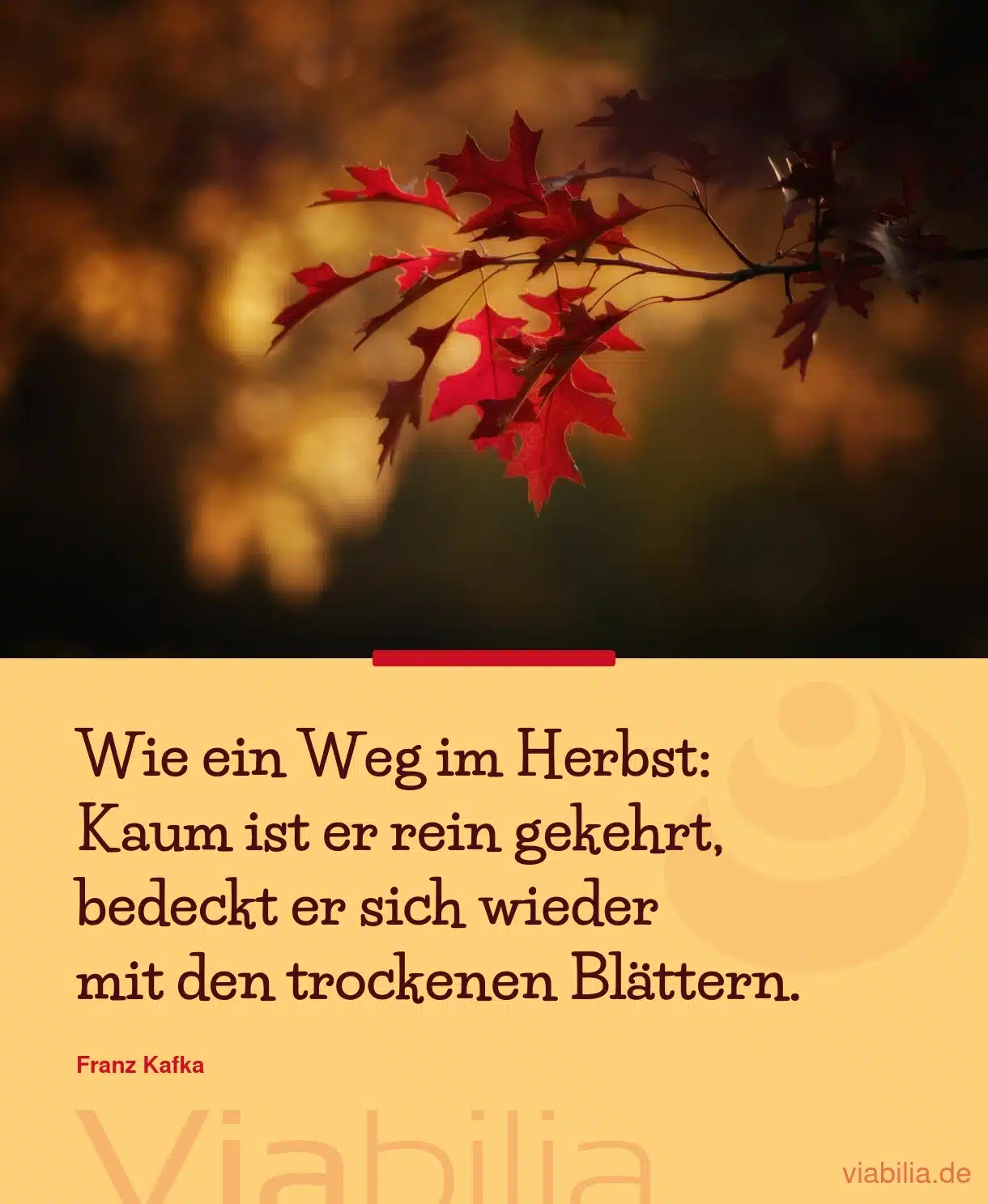 Herbstspruch: Weg im Herbst