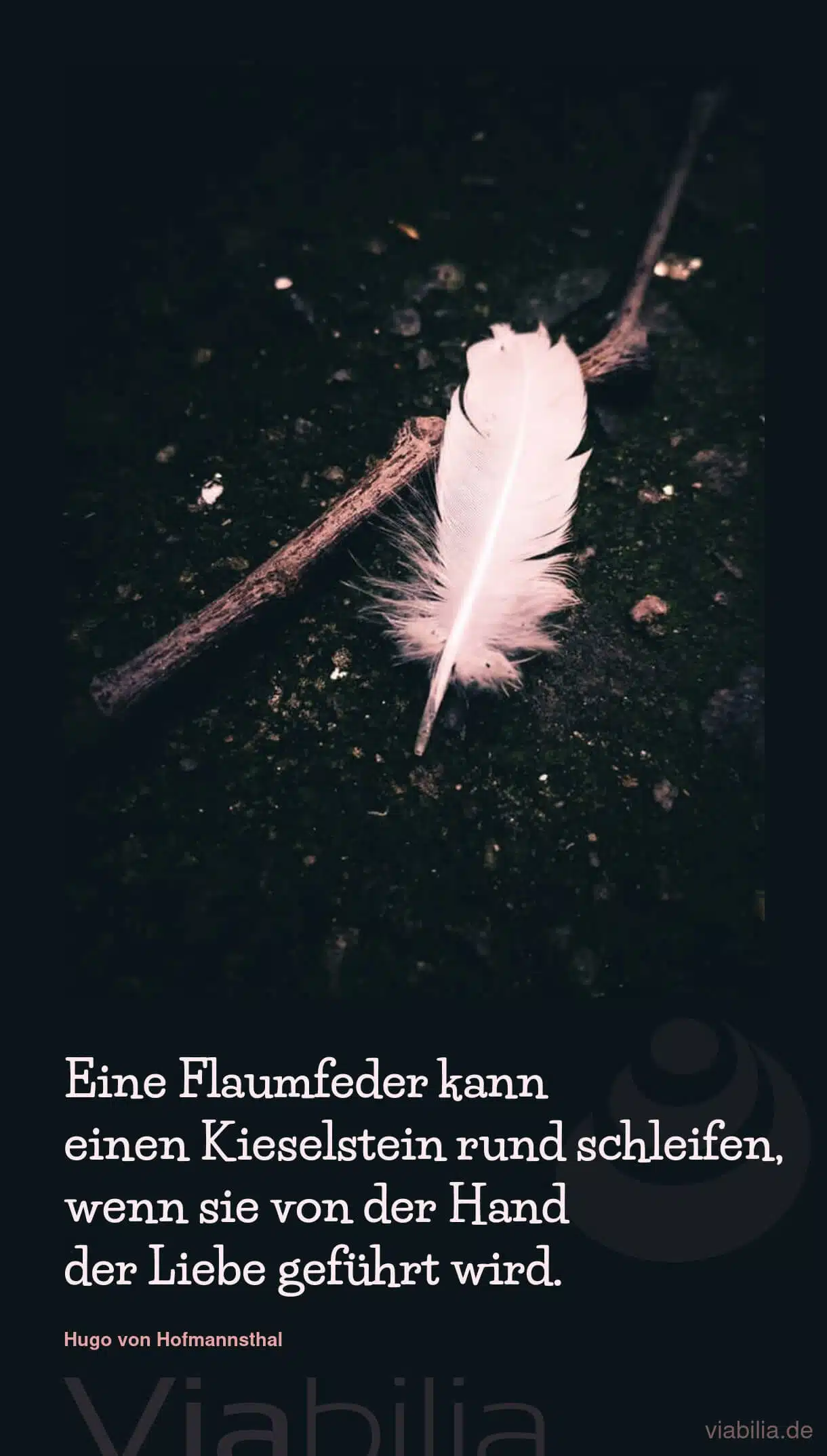 Kurzer, zarter Liebesspruch mit Bild: Flaumfeder