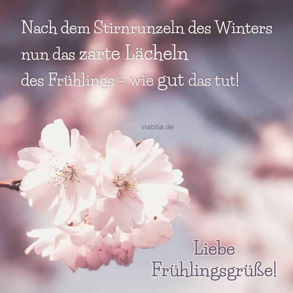 Liebe Frühlingsgrüße - wie gut uns der Frühling tut!