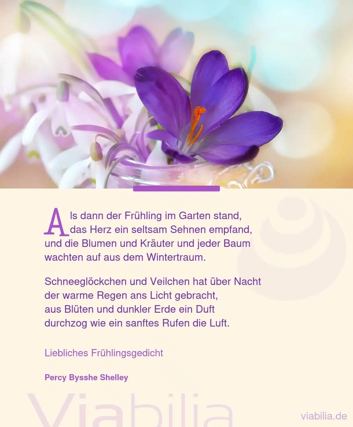 Liebliches Frühlingsgedicht: Frühling im Garten