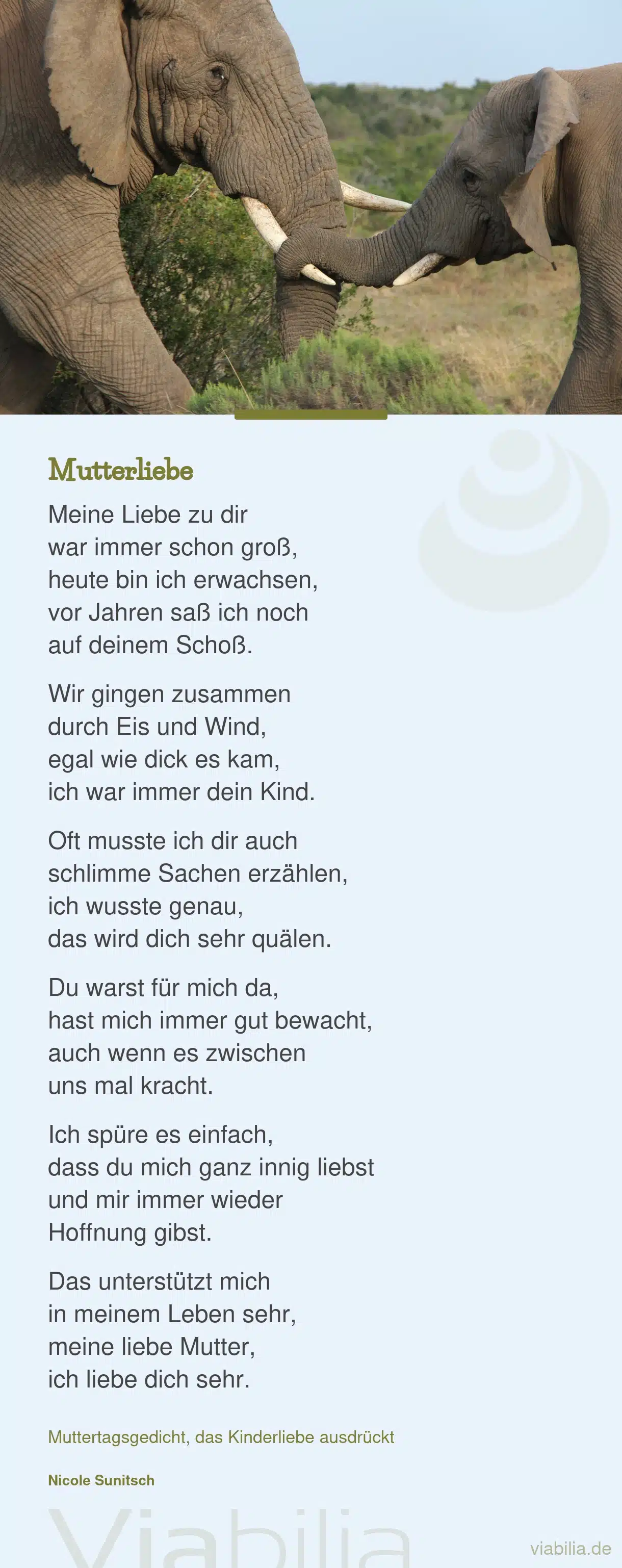 Muttertagsgedicht: meine Liebe zu dir