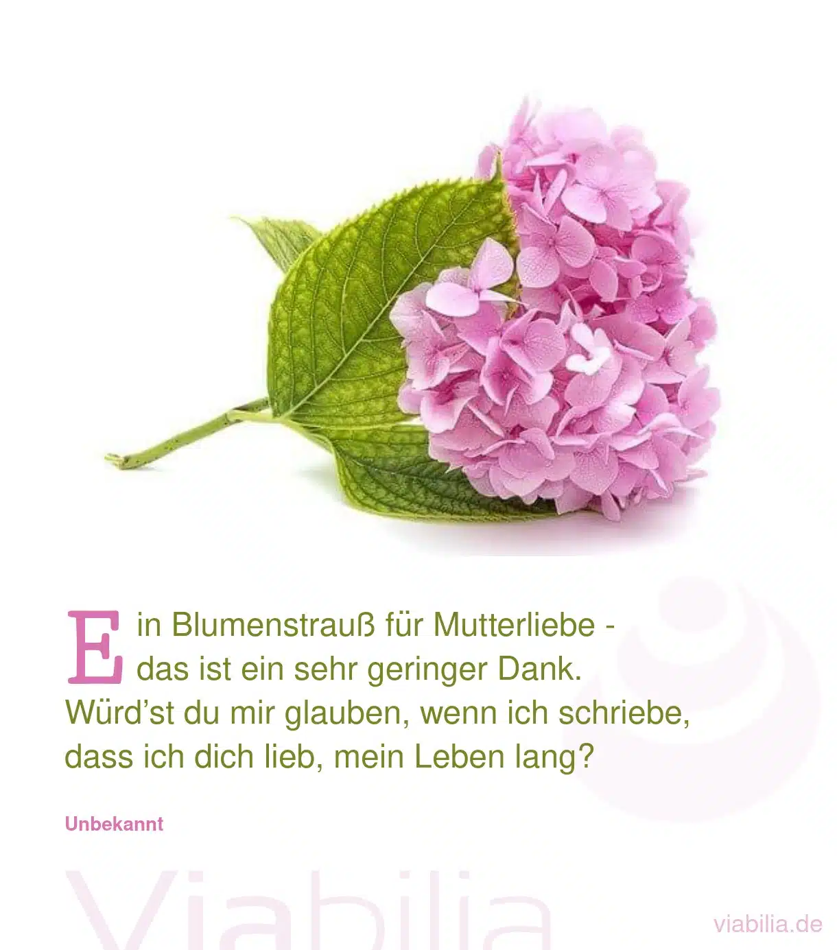 Muttertagsgedicht: ein Blumenstrauß für Mutterliebe