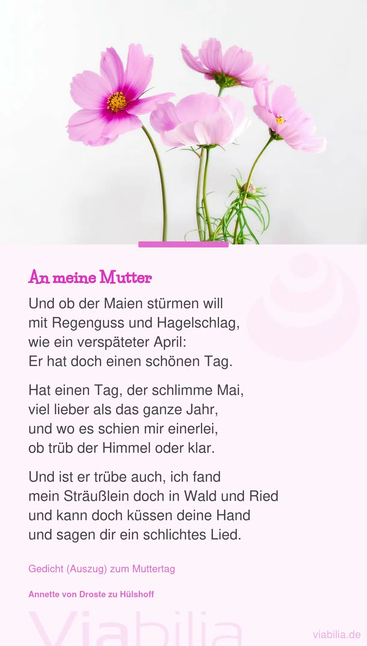 Gedicht: an meine Mutter