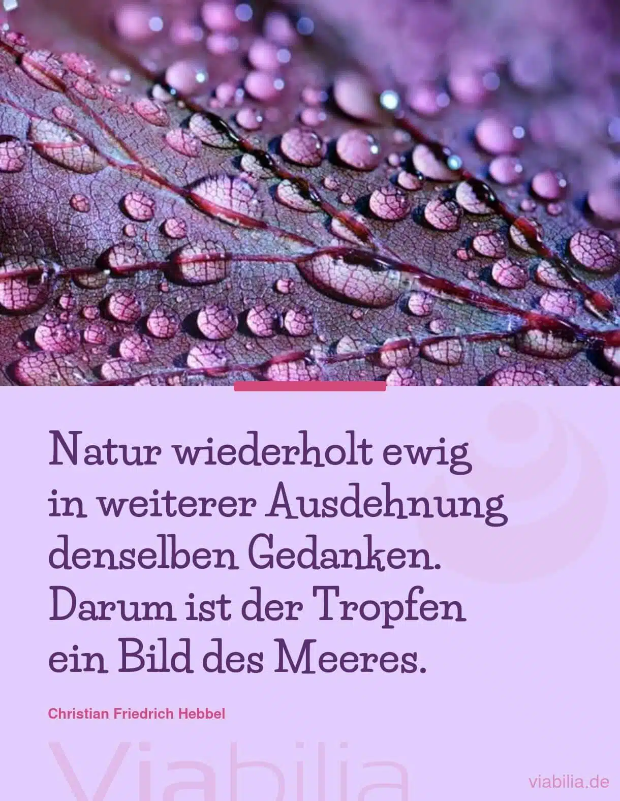 Im Kleinen das Große entdecken: der Tropfen und das Meer