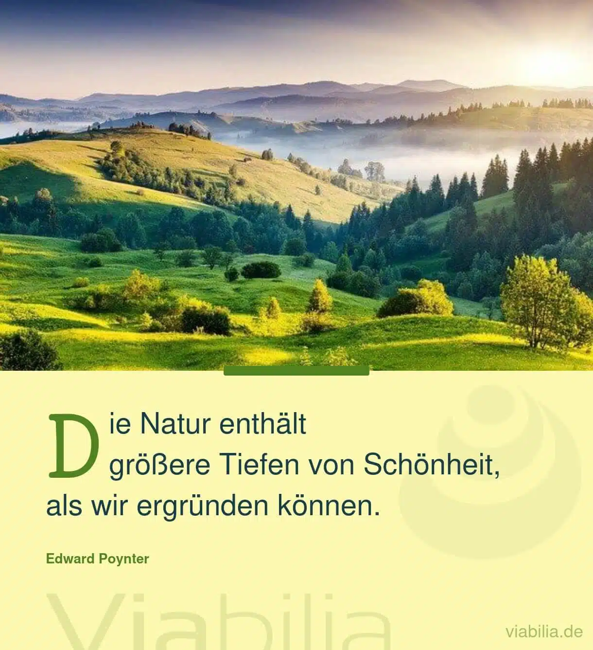 Naturspruch über die tiefe Schönheit der Natur