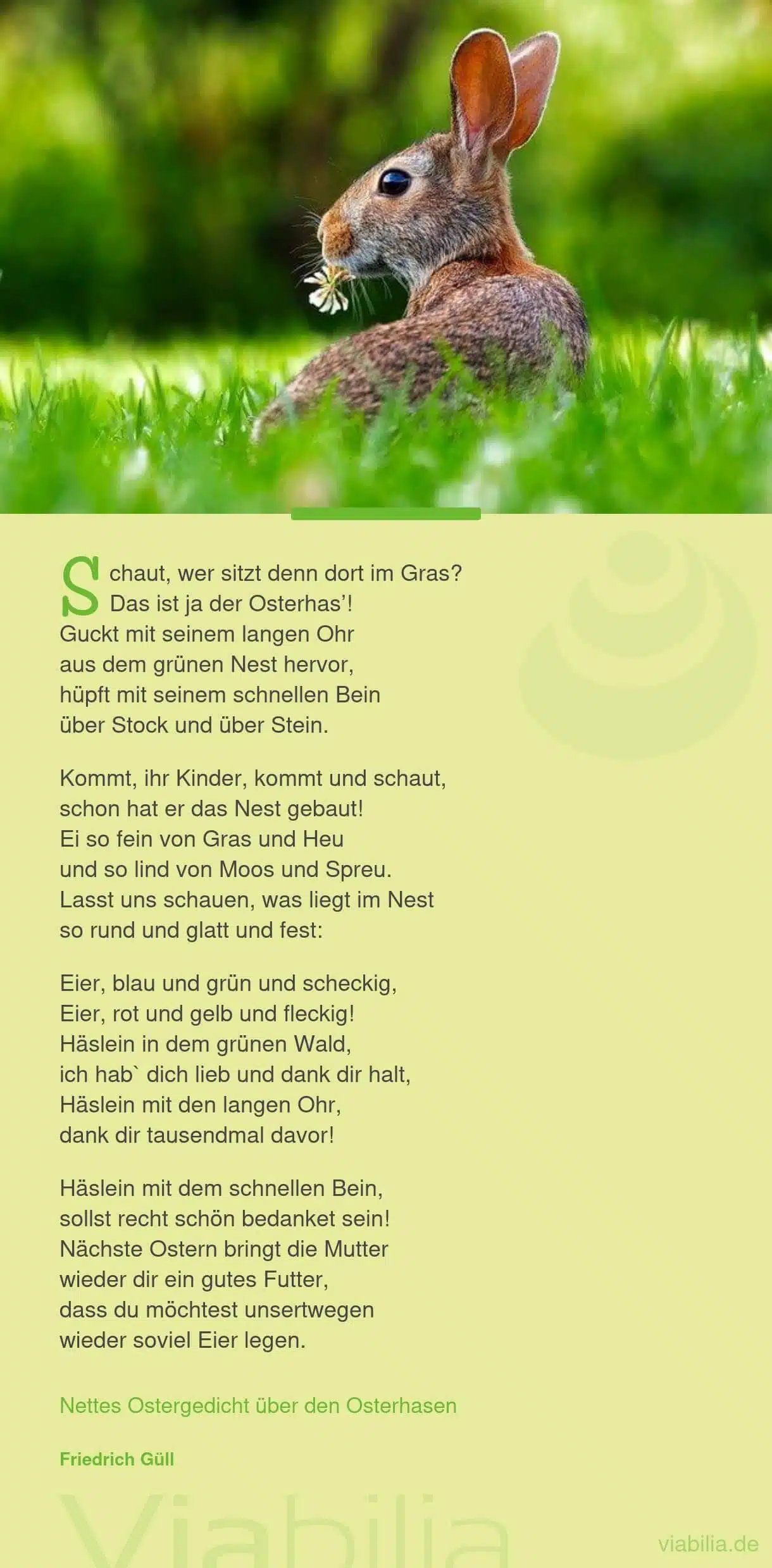 Nettes Gedicht über den Osterhasen