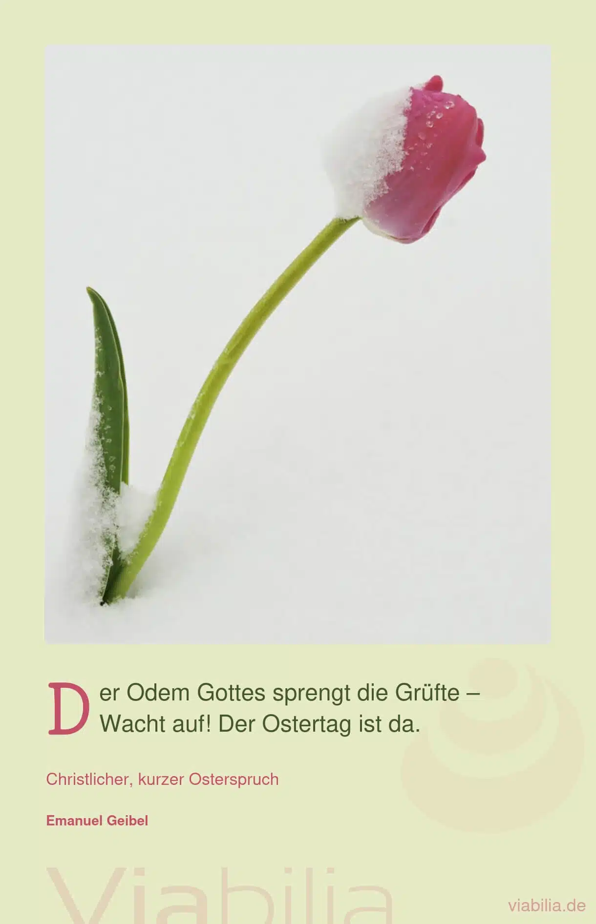 Ostern: der Odem Gottes