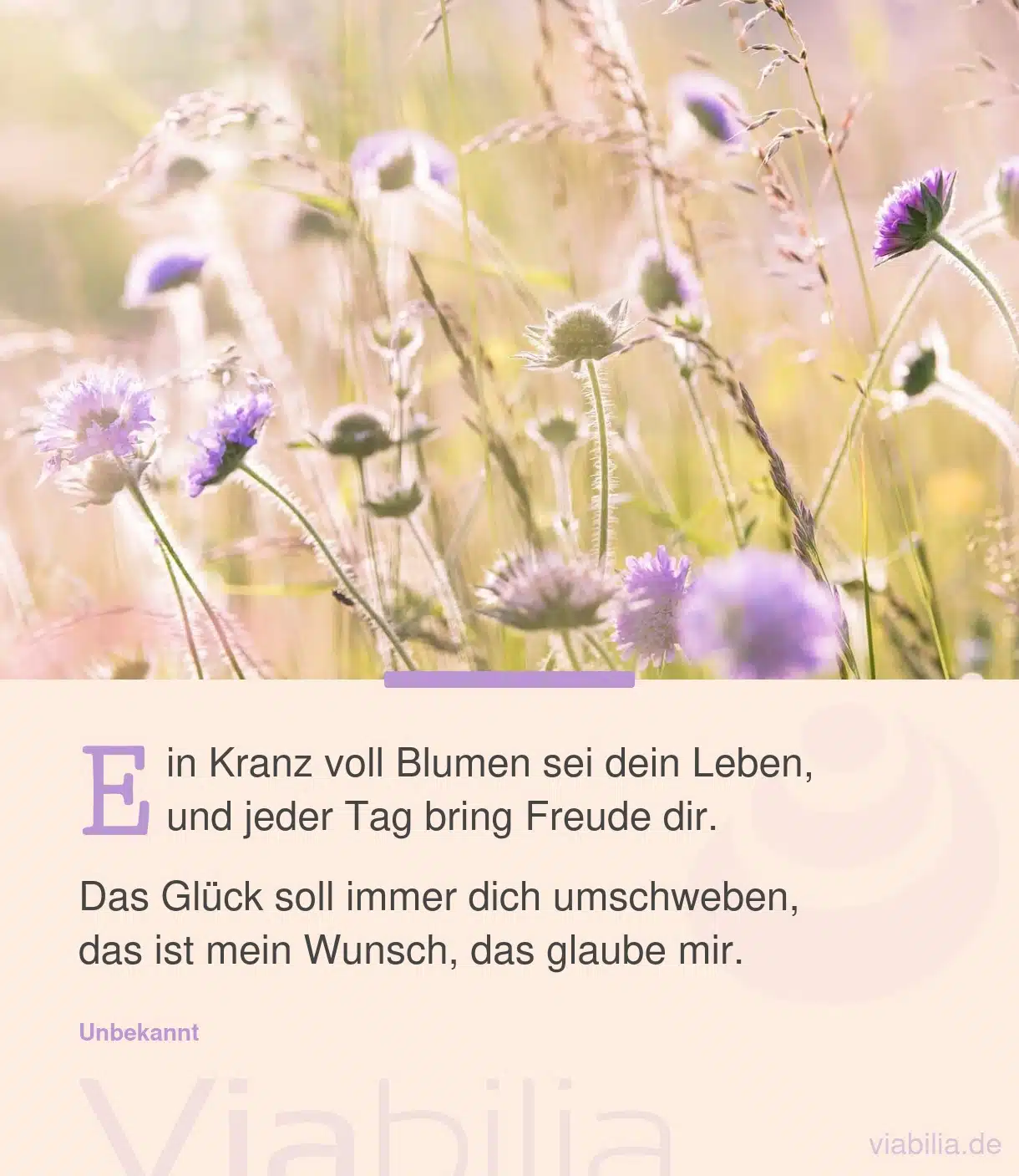 Bekannter Poesiealbum-Spruch: Ein Kranz voll Blumen sei dein Leben