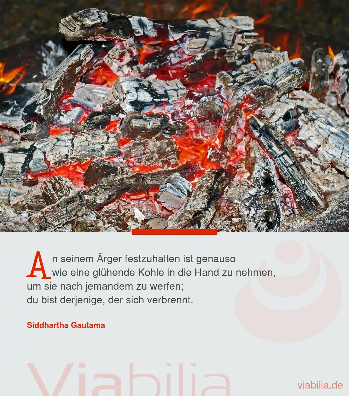 Spruch von Buddha: nicht an seinem Ärger festhalten