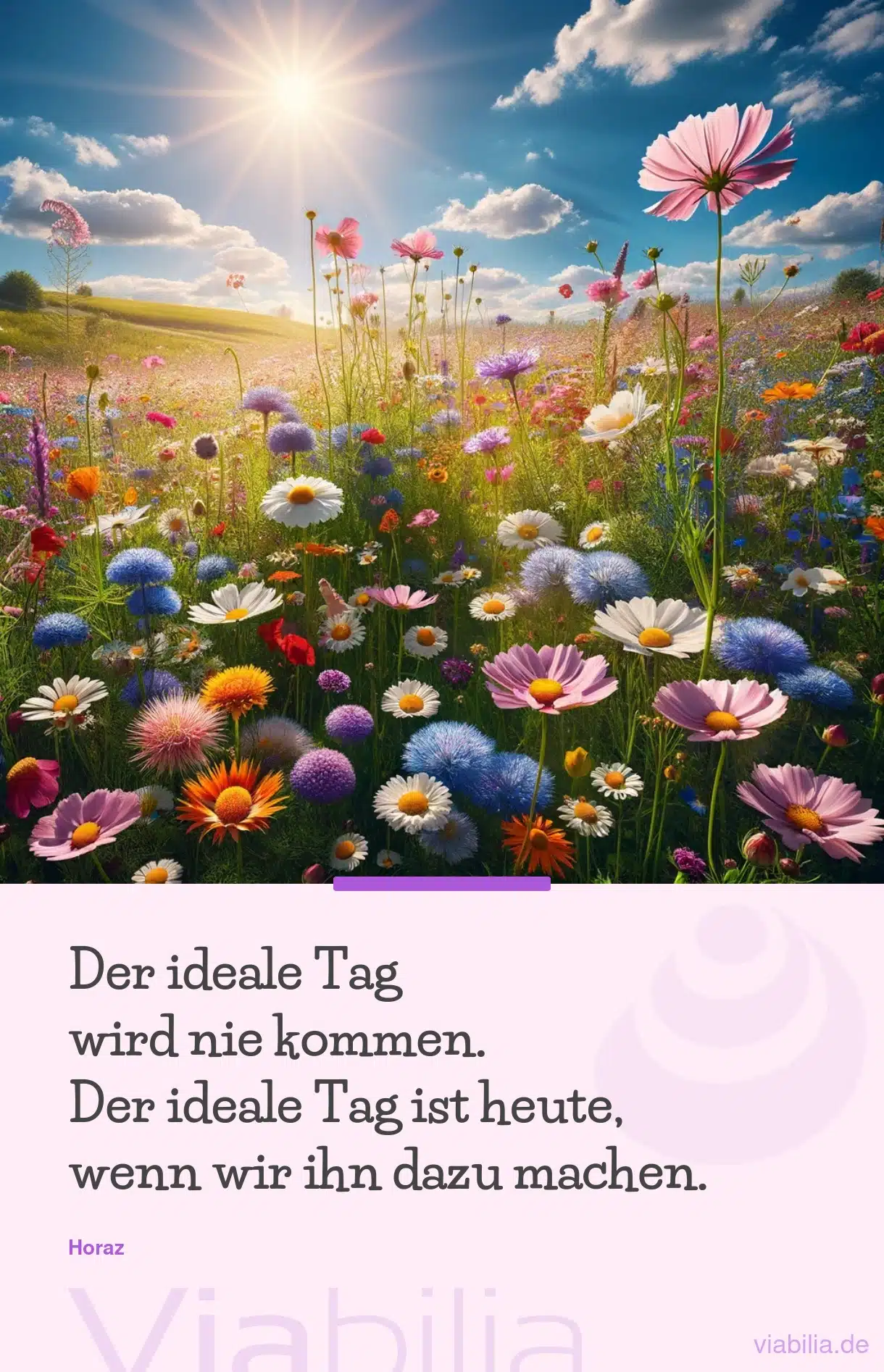 Spruch über den idealen Tag