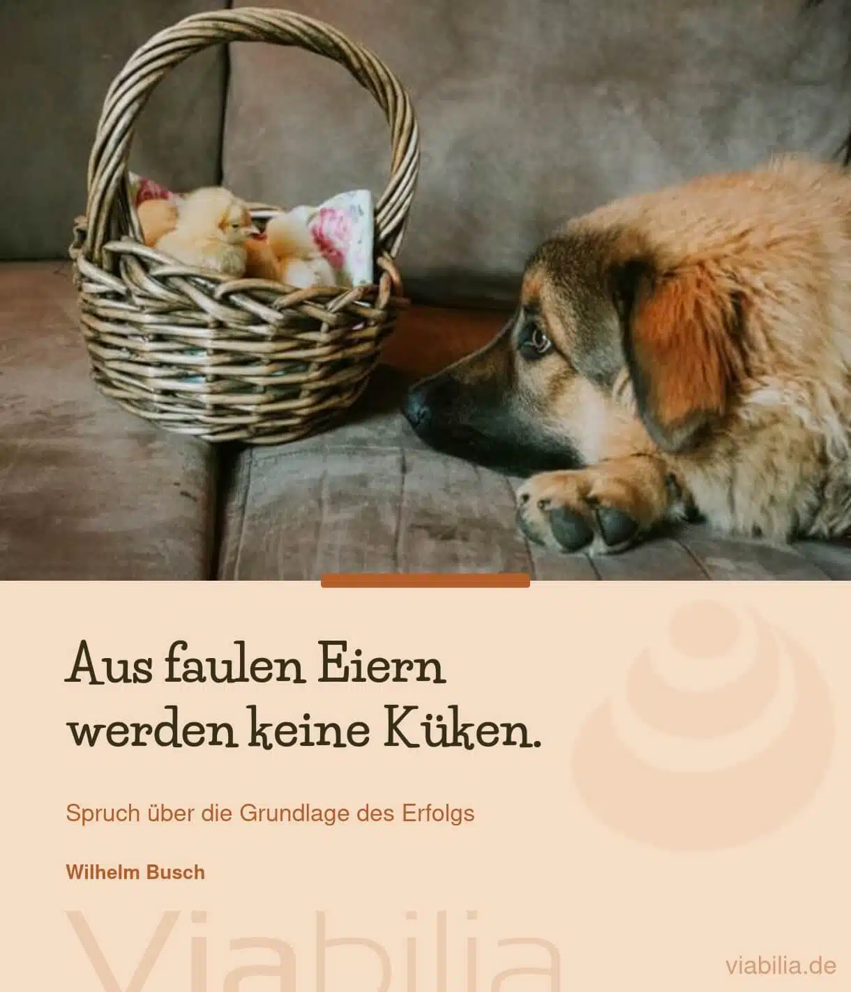 Spruch mit Hund im Bild: faule Eier, keine Küken