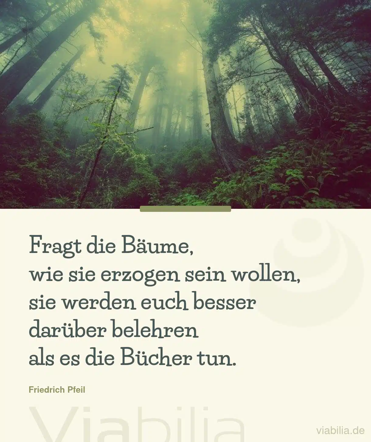 Spruch: Fragt die Bäume