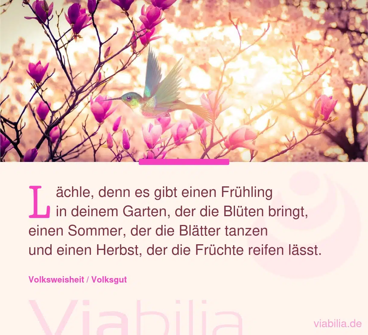 Spruch über den Frühling im Garten