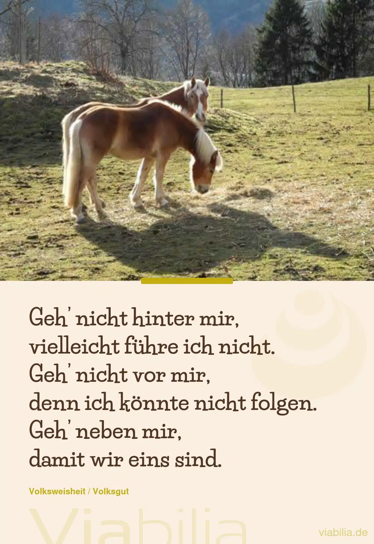 Spruch: geh neben mir