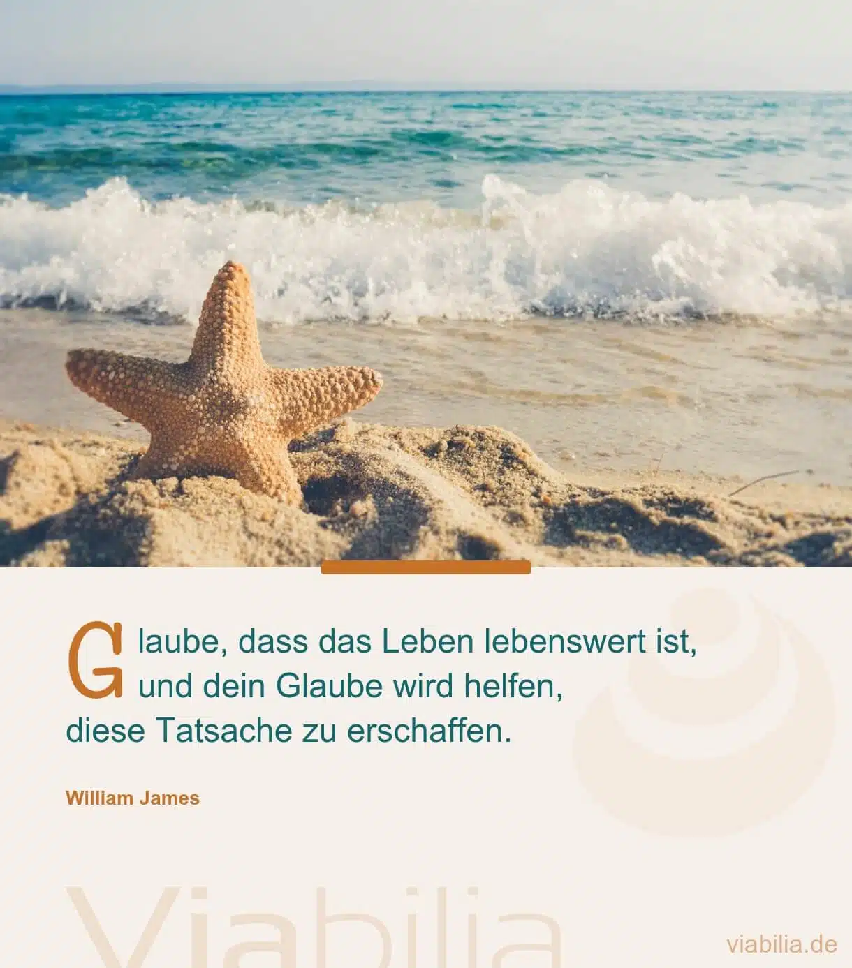 Spruch: das Leben ist lebenswert