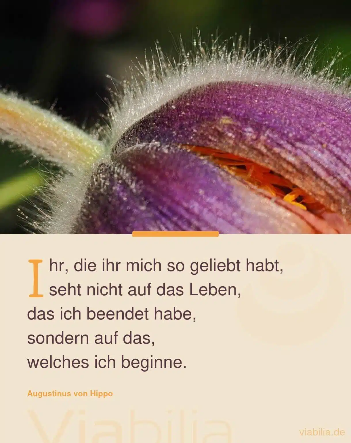 Spruch: das Leben neu beginnen