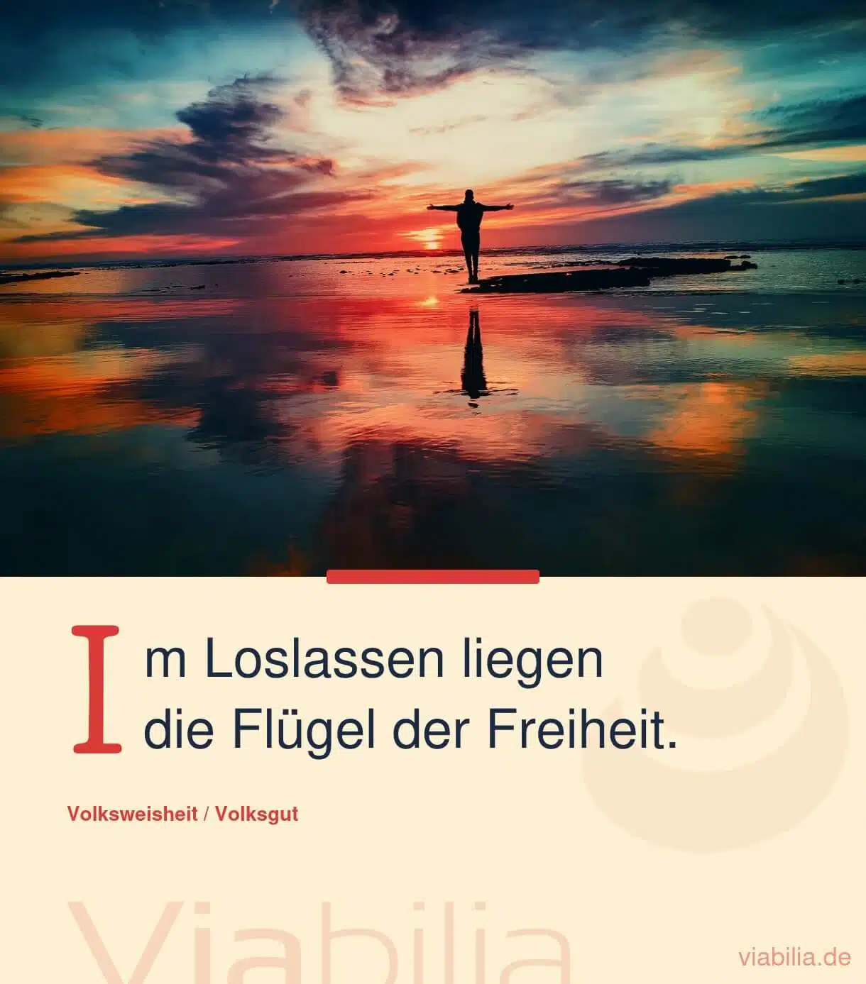 Spruch über Loslassen und Freiheit