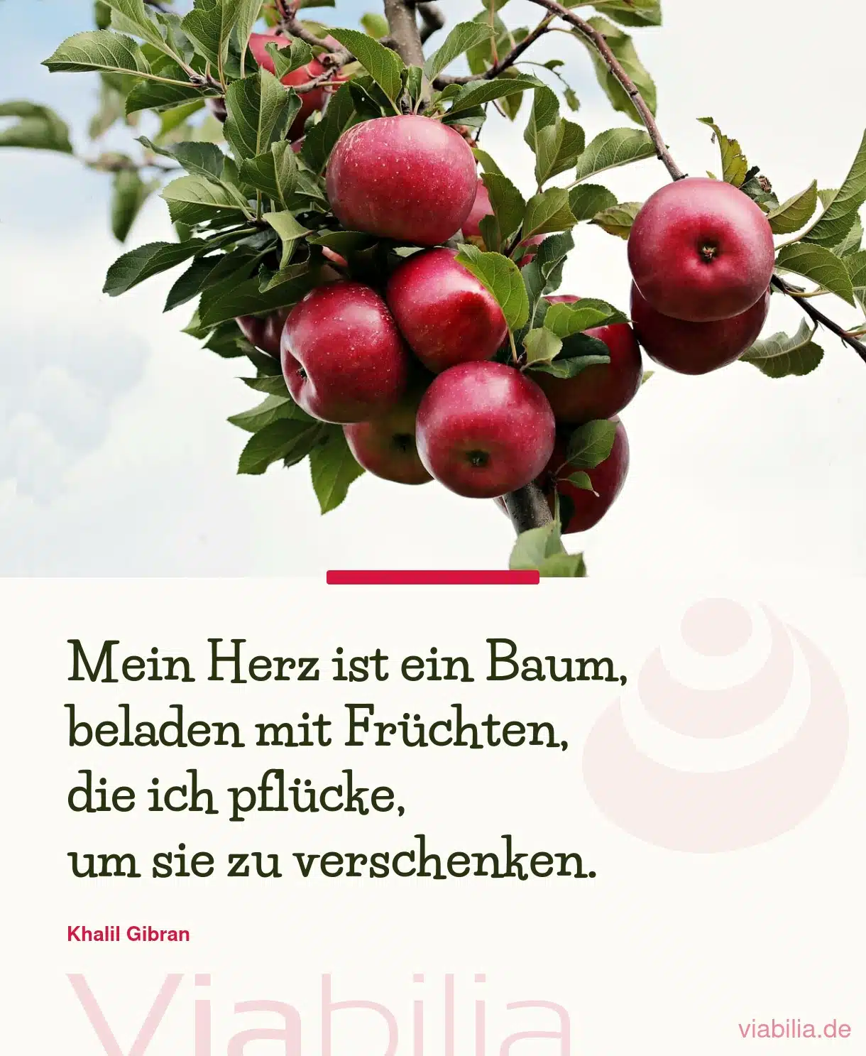 Spruch: mein Herz ist ein Baum