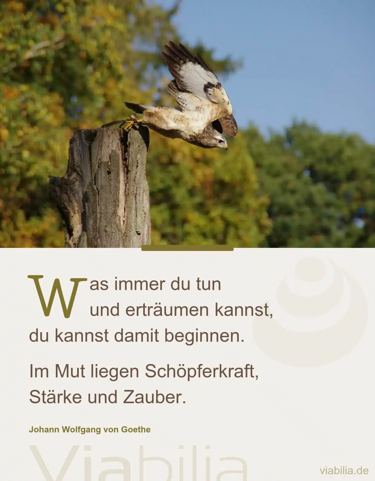 Spruch: Mut zum Beginnen