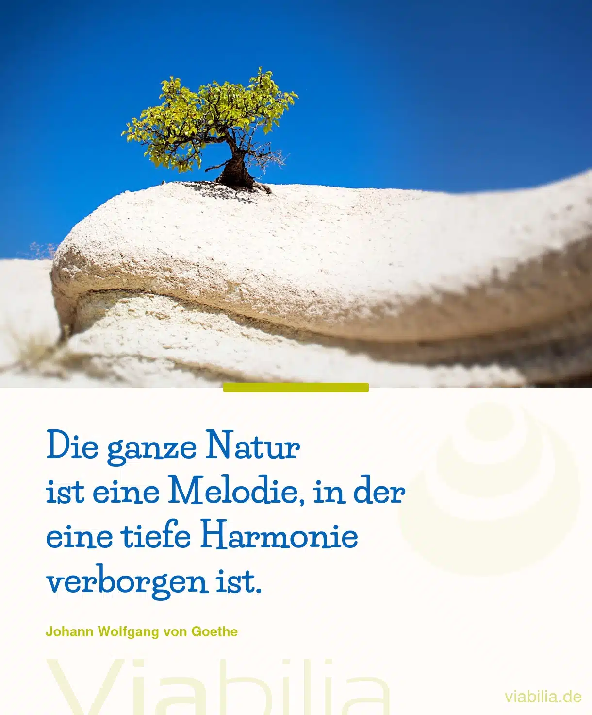 Natur mit tiefer Harmonie