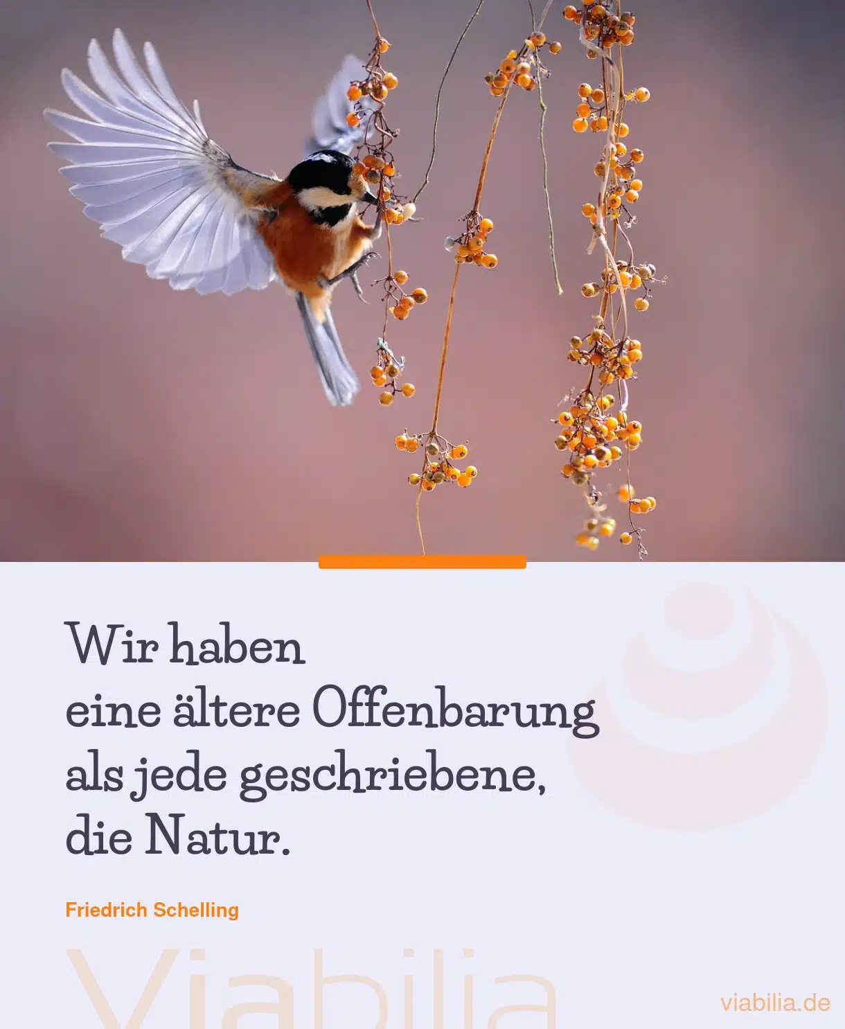 Spruch: ältere Offenbarung, die Natur