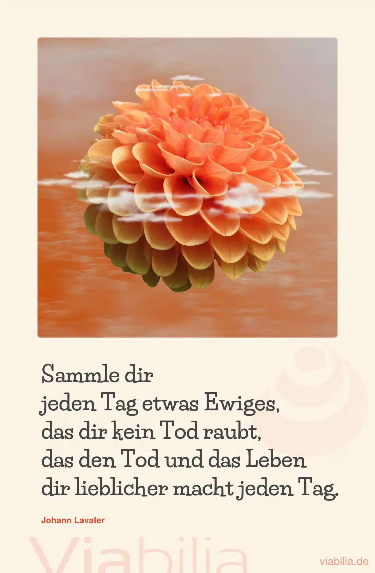 Spruch: Sammle dir Ewiges