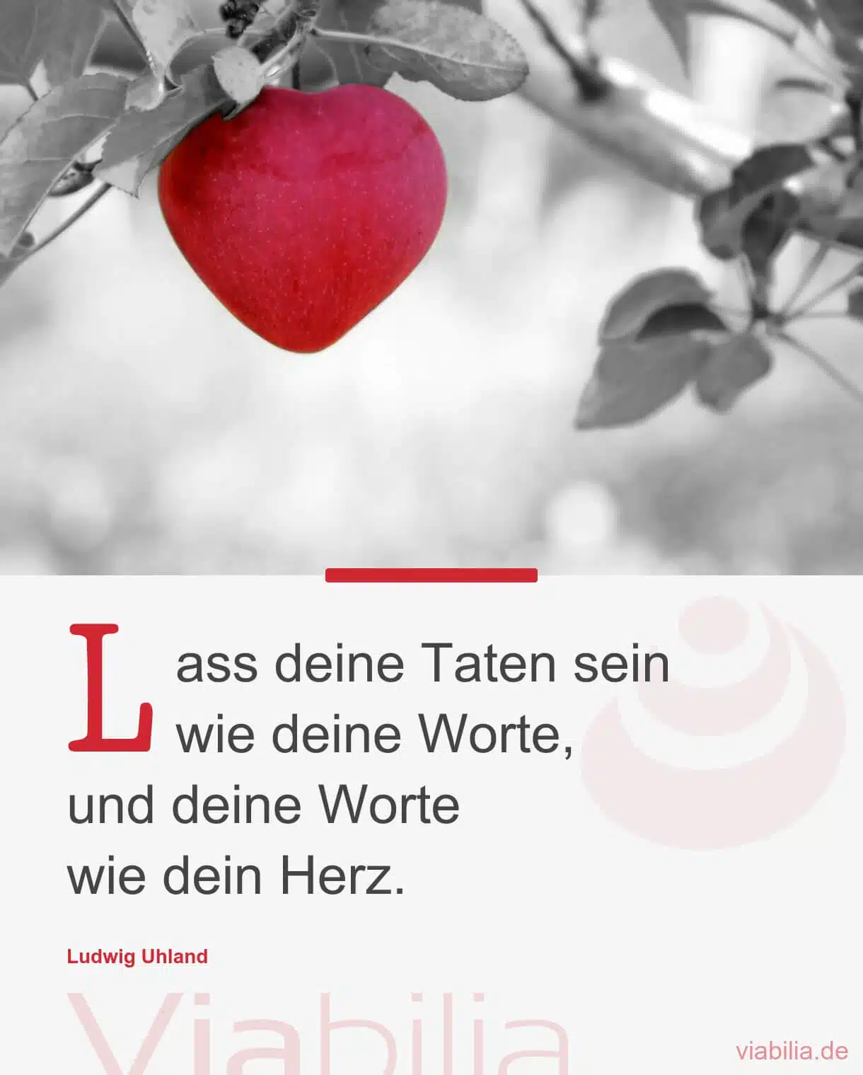 Spruch über Taten, Worte und Herz