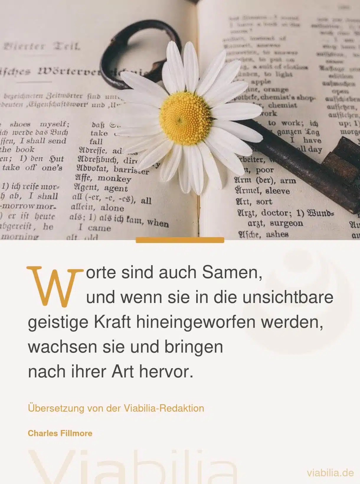 Spruch: Worte sind Samen