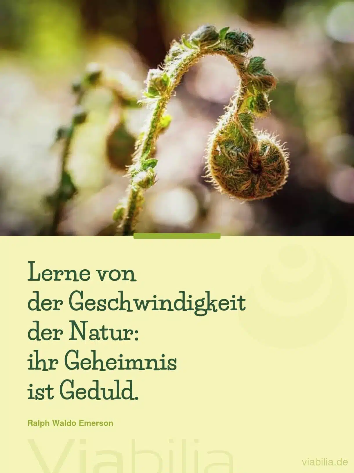 Das Leben und die Natur als Geheimnis, wovon man lernen kann