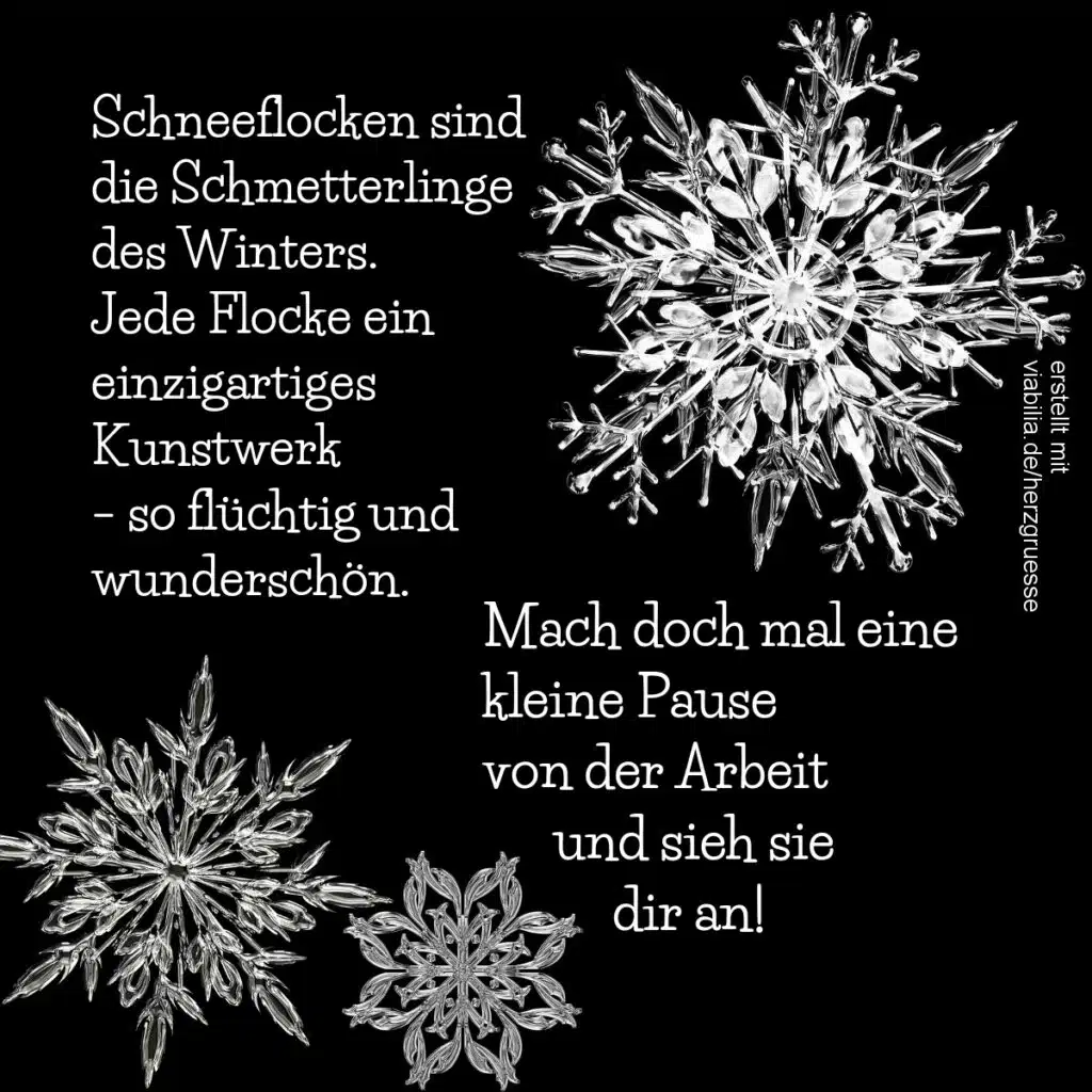 Wintergruß: Schneeflocken sind Schmetterlinge